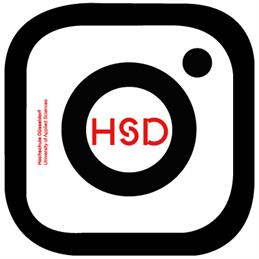 Instagram-Logo mit dem HSD-Logo gekoppelt 